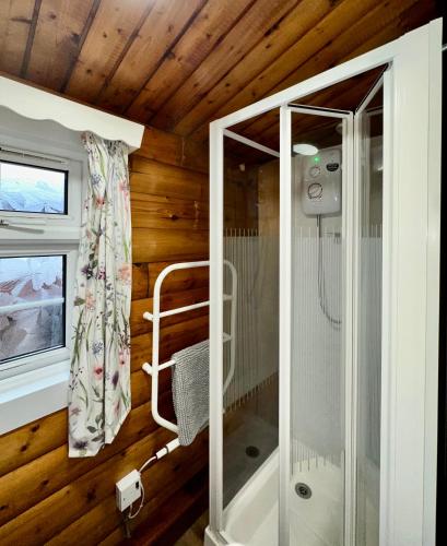 a bathroom with a walk in shower and a walk in shower at Snowdonia Escape in Trawsfynydd