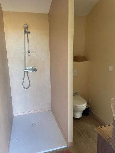 a bathroom with a shower and a toilet at Briques & Bulles in Montauban