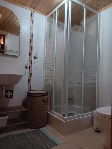 a bathroom with a shower and a toilet at O Cantinho de Góis in Góis