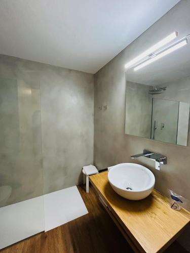 a bathroom with a sink and a mirror at Hotel La Bonaigua in Vielha