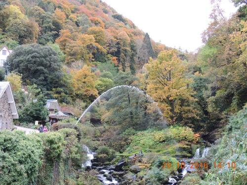 a bridge over a river in a forest with trees at Orchard House Hotel in Lynmouth