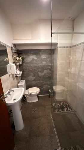 a bathroom with a toilet and a sink at PALMARES DEL BOULEVARD - Aeropuerto Internacional Taravella - Campus Siglo 21 - Campus Blas Pascal - Sanatorio Allende - Estadio Kempes - Quorum - Mujer Urbana - Complejo Ferial Córdoba in Córdoba