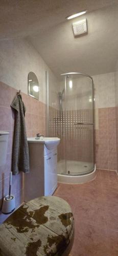 a bathroom with a shower and a sink and a tub at Villa MarViK in Lučenec