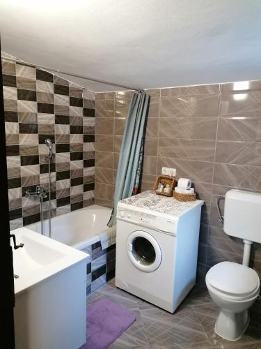 a washing machine in a bathroom with a toilet and a tub at Orljak in Babina Greda
