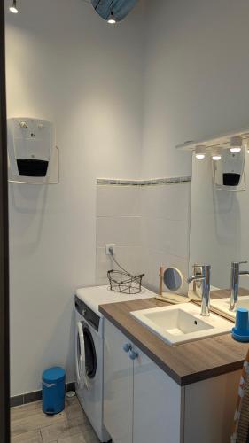 a kitchen with a washing machine and a sink at Gite Le Petit Luberon LISIANTHUS in Cabrières-dʼAvignon