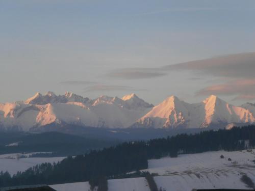 a view of a mountain range with snow and trees at Pod Cisowcem in Sromowce Wyżne