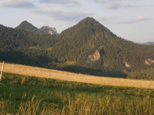 a field of grass with mountains in the background at Pod Cisowcem in Sromowce Wyżne