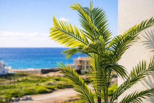 a palm tree in front of the beach at HiddenGems Residences 202 - The LXR Penthouse - Pool & Beach Steps in Paphos