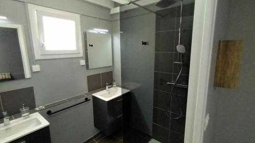 a bathroom with a shower and a sink and a mirror at LE DOMAINE de L'HYLODE in Sainte-Anne