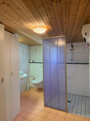 a bathroom with a shower and a toilet at Rustico Indéman in Gambarogno