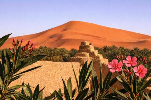 La Vallée des Dunes - Auberge, randonnées et circuits