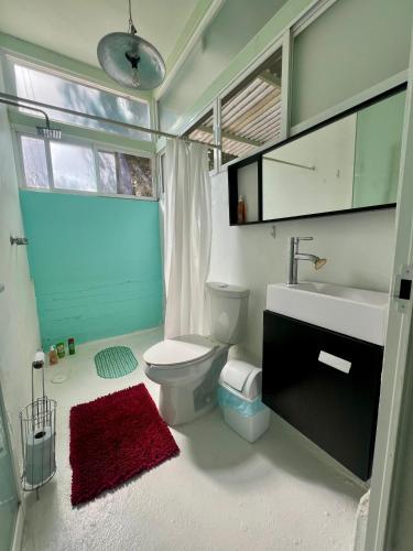 a bathroom with a white toilet and a sink at 2nd floor loft with swimming pool in Oaxaca City
