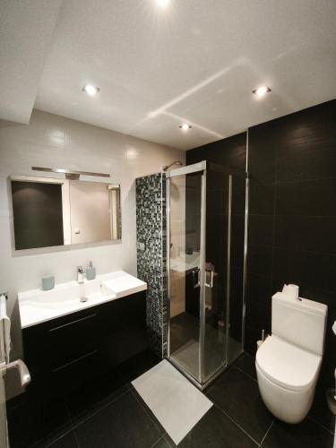 a bathroom with a toilet and a sink and a shower at Apartamento Eguzkey - Tolosa centro in Tolosa