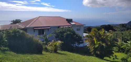 Les Pimentiers de Papaye