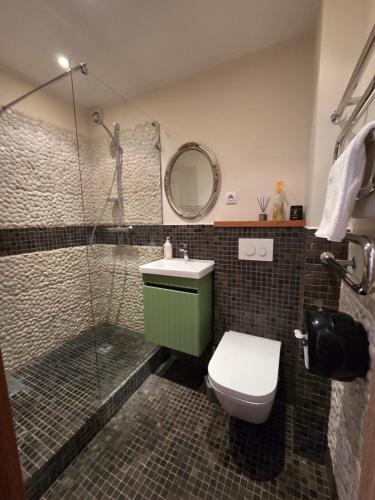a bathroom with a shower and a toilet and a sink at Apartamentai 78 in Mažeikiai