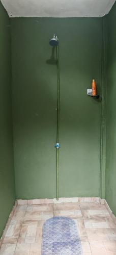 a shower in a green wall with a blue rug at Casa Perezosa in Parrita