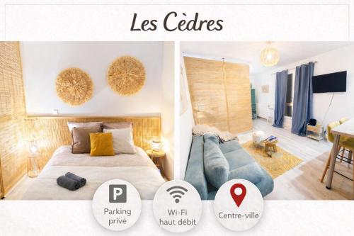 Les Cèdres - grand studio - neuf