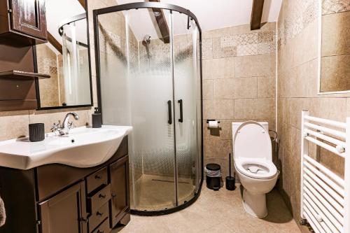 a bathroom with a shower and a toilet and a sink at Cabana lui Matei in Borlova