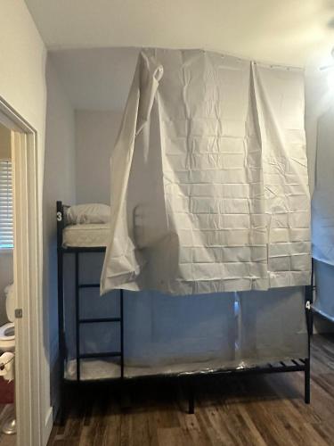 a bed with a canopy in a room at Chestnut Hostel in Wilmington