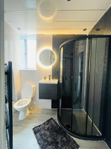 a bathroom with a shower and a toilet and a sink at Spacious 3 Bedroom Entire Apartment Self Check in & Free Parking in Cowdenbeath