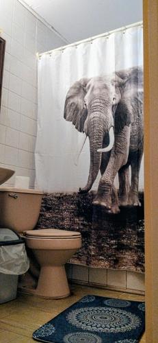 a bathroom with a shower curtain with an elephant at La Casa de los Cactus in Coquimbo