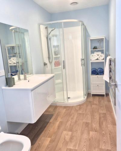a bathroom with a shower and a toilet and a sink at Accomodation at Curio in Curio Bay