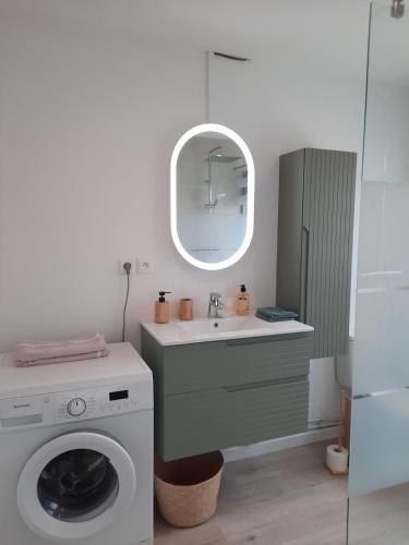 a bathroom with a washing machine and a sink at Leu Cosy Coco in Saint-Leu