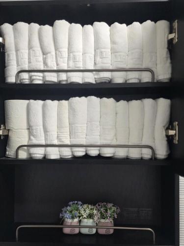 a shelf with rolls of toilet paper and some plants at Pension Haneul Tari in Jeju
