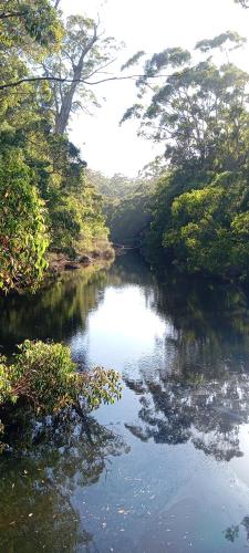 a river with trees on the side of it at Adamsons Riverside in Margaret River Town