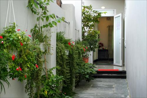 an entrance to a house with flowers and plants at Flame Flowers Homestay in Hoi An