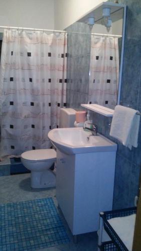 a bathroom with a sink and a toilet and a shower at Krka Ivan in Lozovac