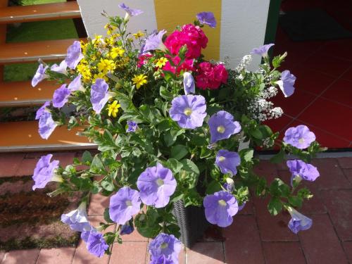 a bouquet of colorful flowers in a vase at Landhaus Tippl in Aigen im Ennstal