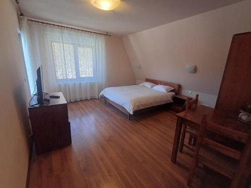 a bedroom with a bed and a television in it at Belvedere GreșuLepșa in Greşu