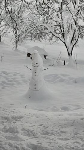 een brandkraan bedekt met sneeuw naast een boom bij Dolores in Tešanj