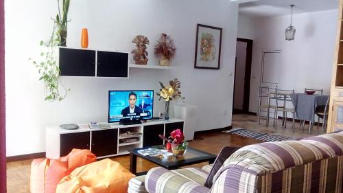 a living room with a couch and a tv at Apart Monumental in Funchal