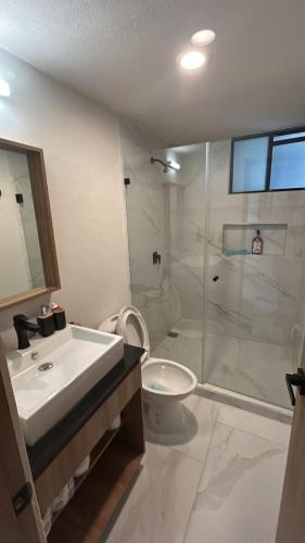 a bathroom with a shower and a sink and a toilet at Santa Fe Dorado Atardecer in Atlacholoaya