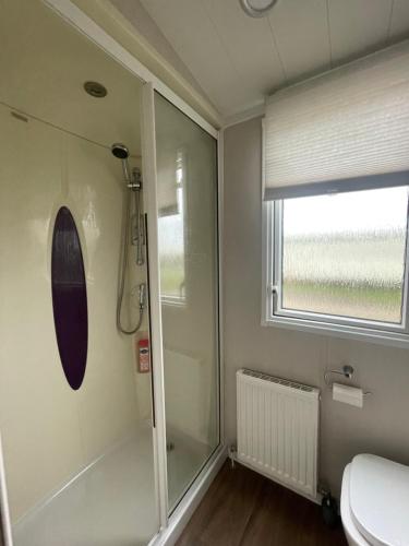 a bathroom with a shower and a toilet and a window at Shells at Sandylands in Stevenston