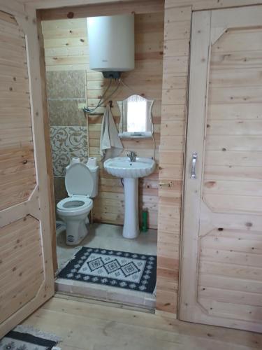 a bathroom with a toilet and a sink at Riverside Cottage in Martvili