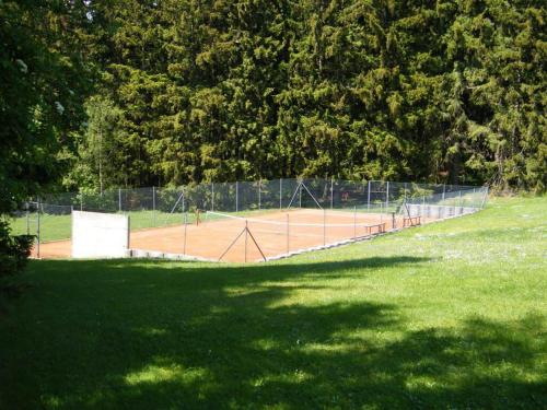 a tennis court with a net on a grass field at Chalupa u Smrčiny in Janske Lazne