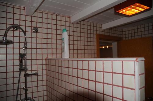a shower with a bottle on top of a tiled wall at Casa Rural El Bornizo con psicina jacuzzi climatizado barbacoa y jardín en Salamanca in Pastores