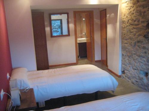 a bedroom with two beds and a mirror at Casa Rural El Bornizo con psicina jacuzzi climatizado barbacoa y jardín en Salamanca in Pastores