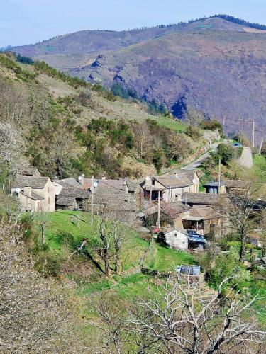 a group of houses on a hill with a mountain at Maison au calme entre Causses and Cévennes in Barre-des-Cévennes