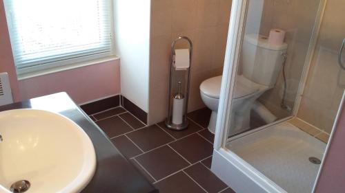 a bathroom with a toilet and a sink and a shower at La Villa de Jeanne in Les Riceys