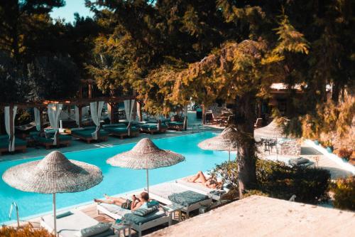 Casa Trees Boutique Hotel