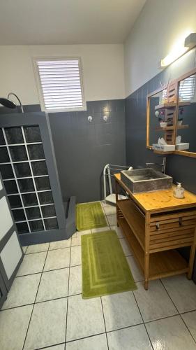 a bathroom with a sink and a mirror at Appt La Rose du Désert in Terre-de-Haut