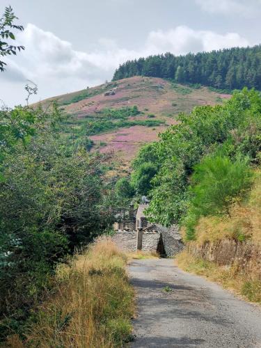 a dirt road next to a hill with trees at Maison au calme entre Causses and Cévennes in Barre-des-Cévennes