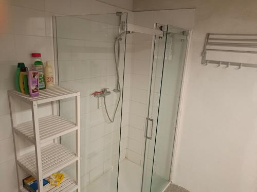 a shower with a glass door in a bathroom at 1690 Heritage Farmhouse-barn in Kuchl