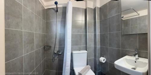 a bathroom with a shower and a toilet and a sink at The comfort 2 in Raches