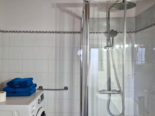 a shower with a glass door in a bathroom at Studio in peaceful village of São Martinho das Amoreiras in São Martinho das Amoreiras