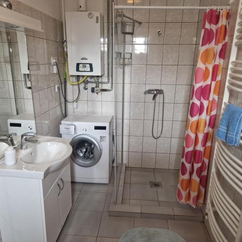 a small bathroom with a sink and a washing machine at Bányász Vendégház in Csokvaomány